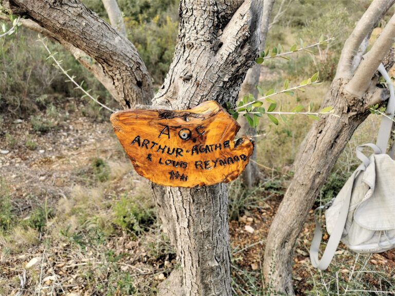 Pourquoi y a-t-il de la publicité ?