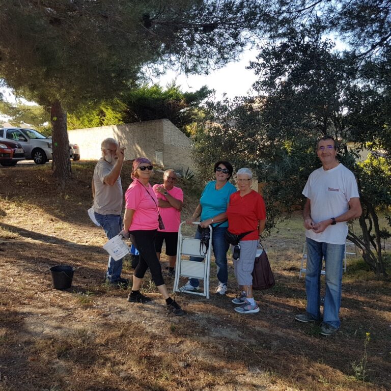 HALTE au GASPILLAGE des OLIVES !