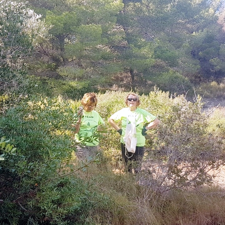 L&rsquo;OLIVERAIE de Mme ILARI