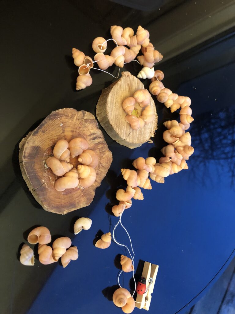 Retrouvez l&rsquo;ELEGANTE des CALANQUES au vallon de Jaume …