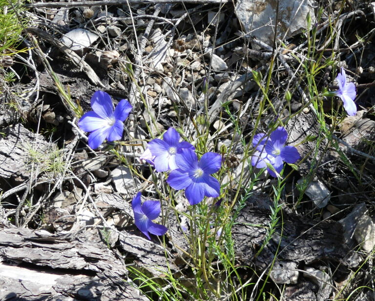 ET l&rsquo;AGO 2020 ?