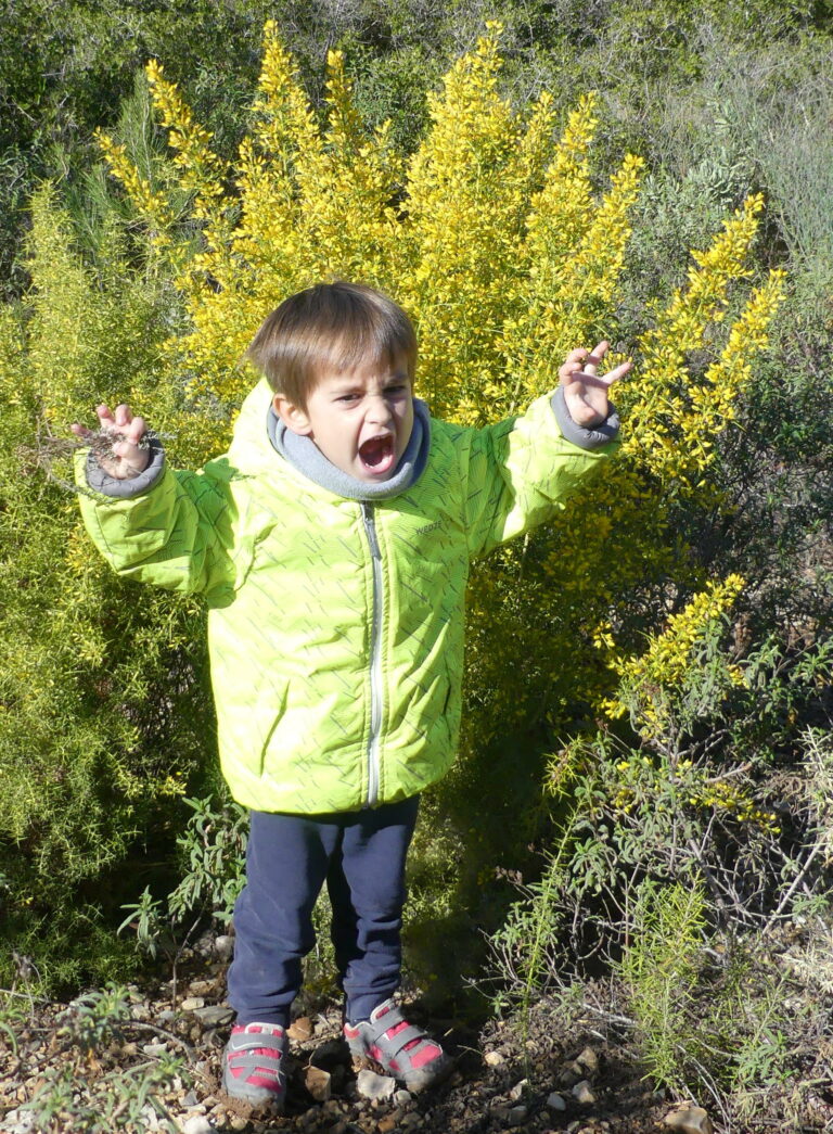 PROJETS de l&rsquo;AOC pour 2021