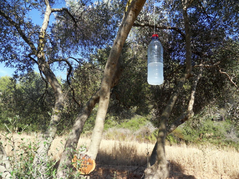les membres de l&rsquo;AOC portés sur la bouteille …
