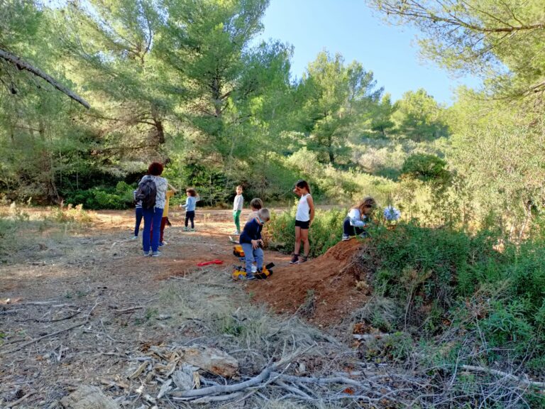 A la sainte Catherine, tout bois prend racine !