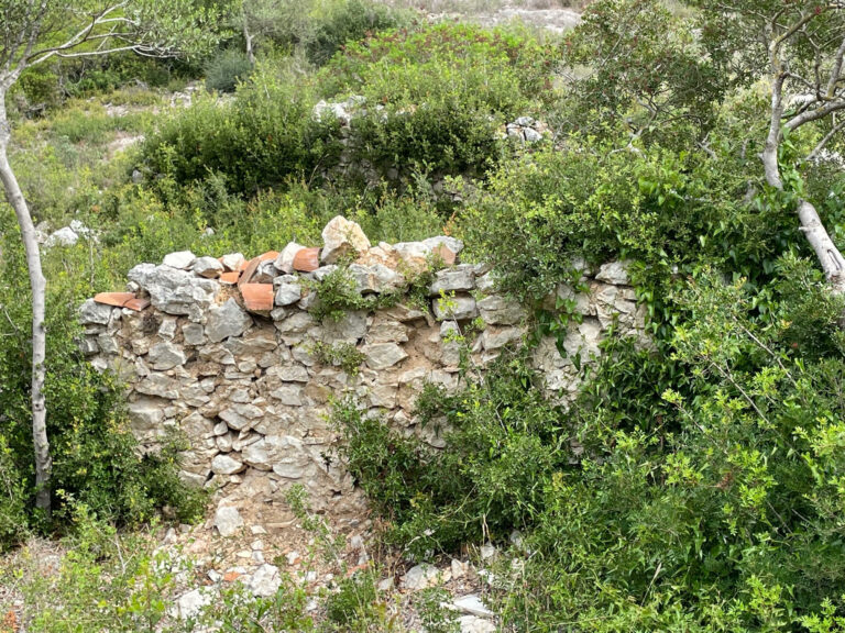 PROJETS de l&rsquo;AOC pour 2022