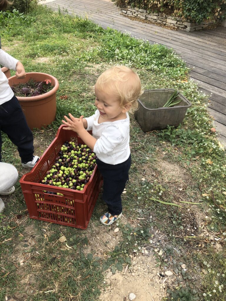 AOC et  planet saviors