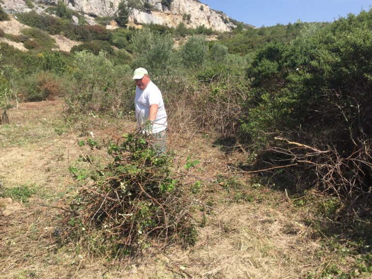 Réalisons nos rêves !