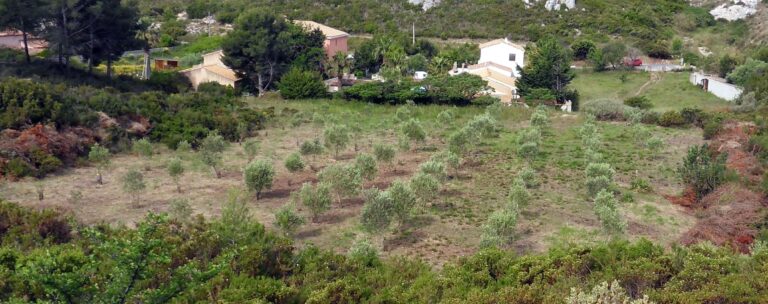 Et vous la faites comment cette Transition écologique ?