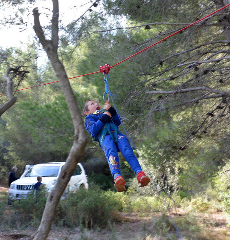 PANEM ET CIRCENSES ! (fête olivaison 2022)