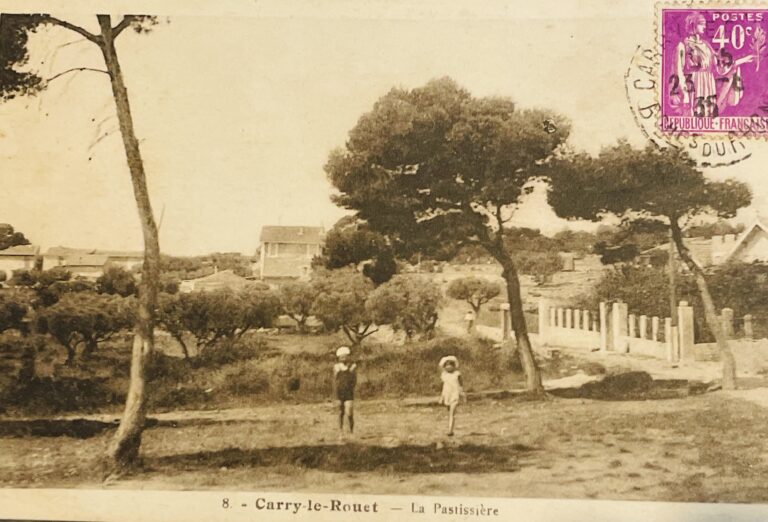 Un membre de l&rsquo;AOC peut-il retourner à l&rsquo;état sauvage ?