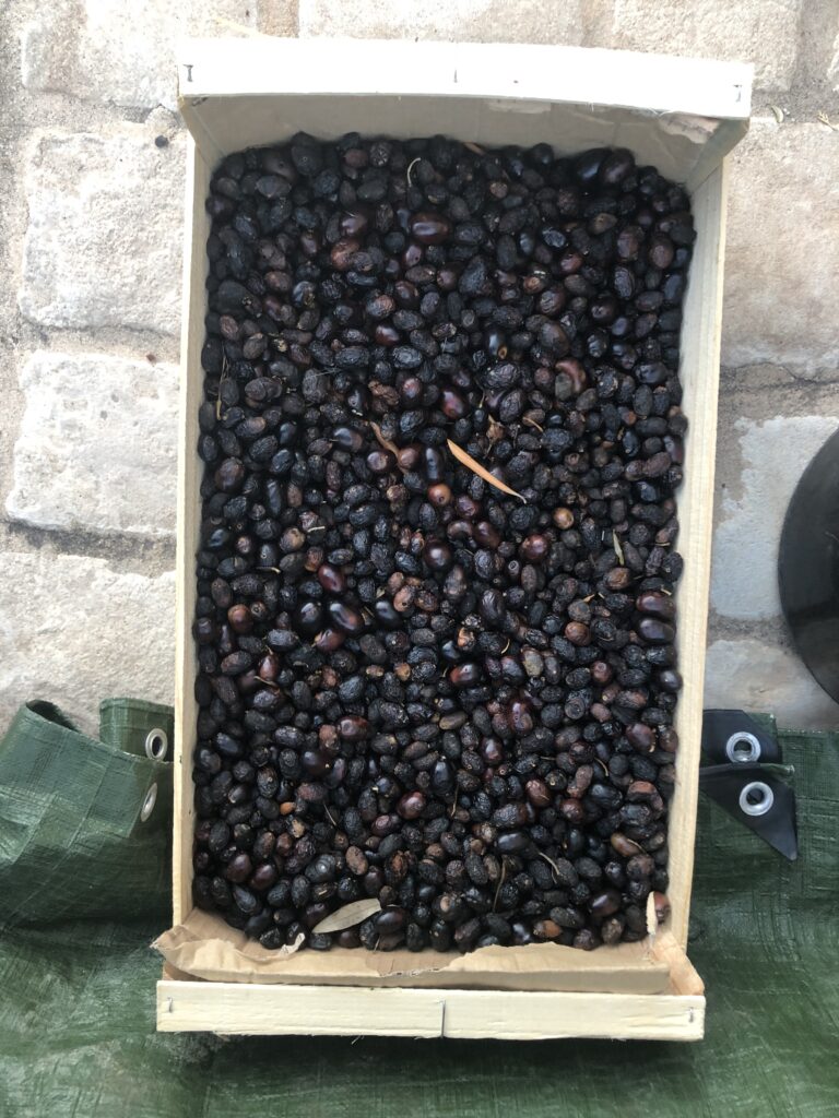 Les oubliés de 2023 …