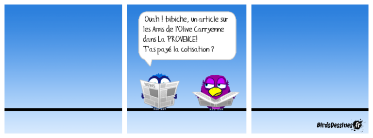 L&rsquo;AOC c&rsquo;est LA PROVENCE ! (OLEA 2024)