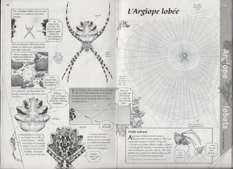 Connaissez-vous la Hulotte ?