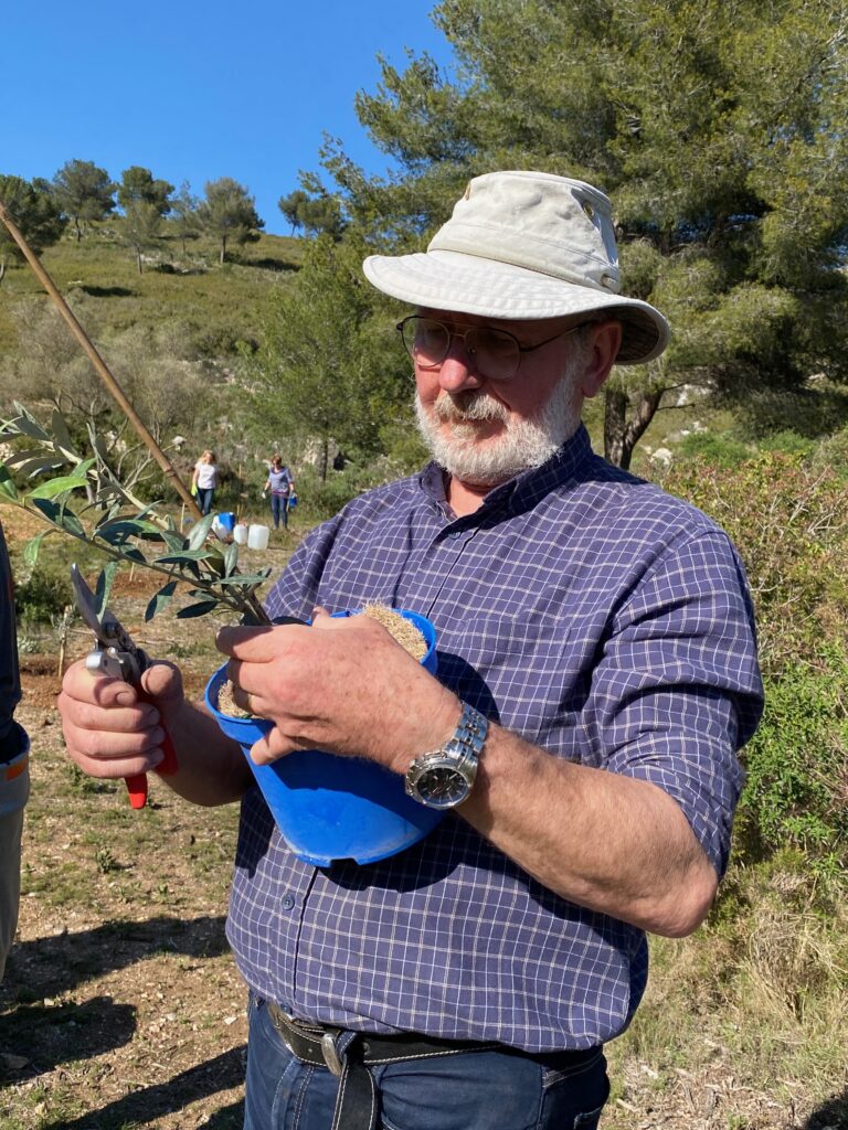 Plantation d&rsquo;oliviers au vallon de JAUME