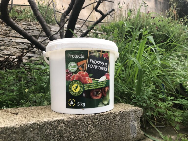 ipso facto ! Le DAP expliqué …