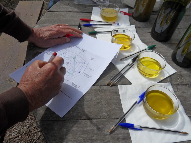 De l&rsquo;olive au verre …