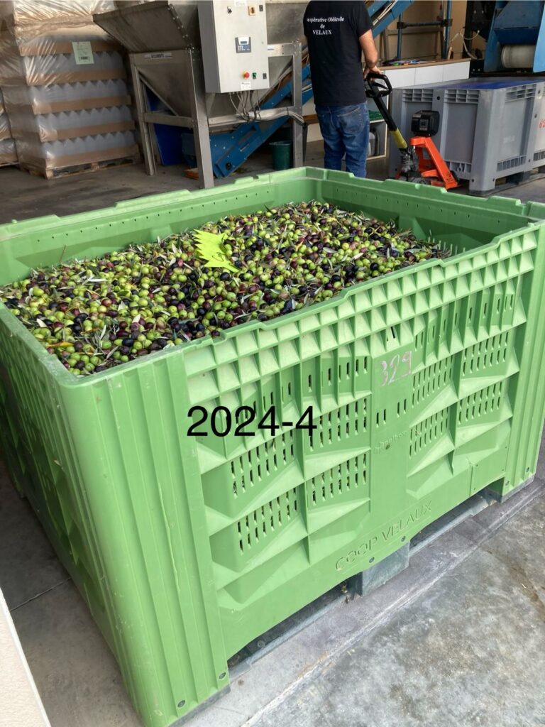 De l&rsquo;olivier à votre assiette …