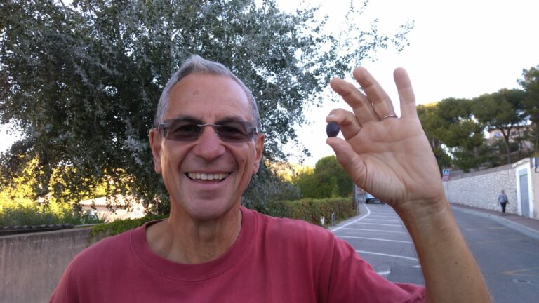 La cueillette c&rsquo;est technique !