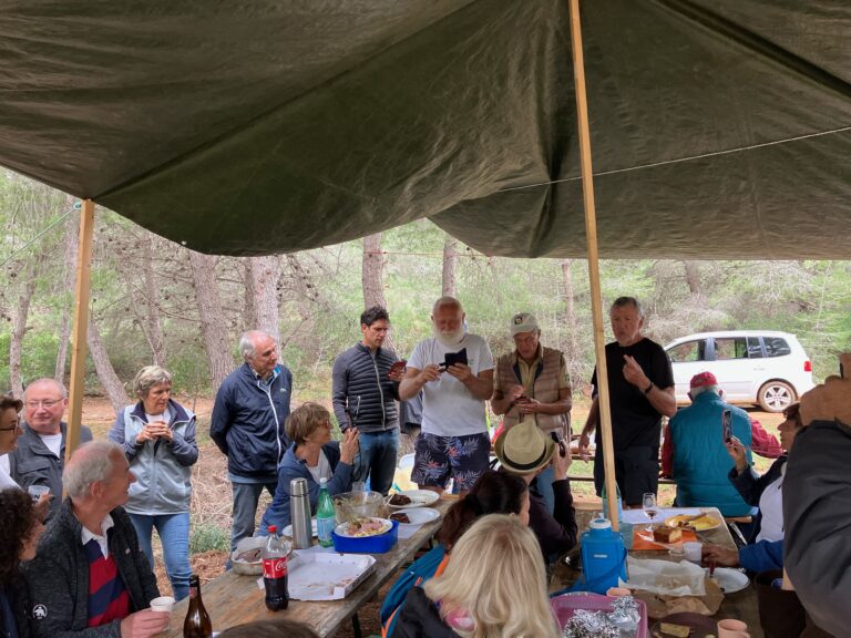 TROISIÈME FÊTE de l&rsquo;OLIVAISON