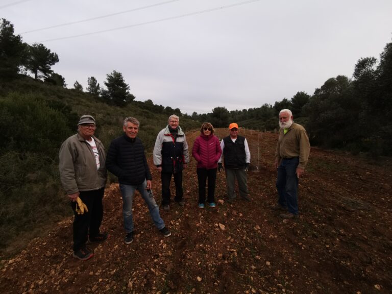 Les grandes manœuvres ont commencé !