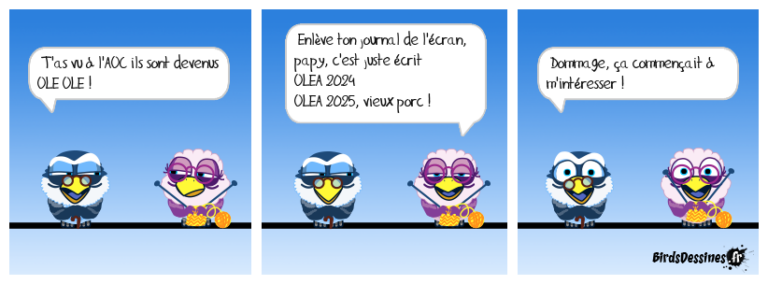 BILAN OLEA 2024 et OLEA 2025