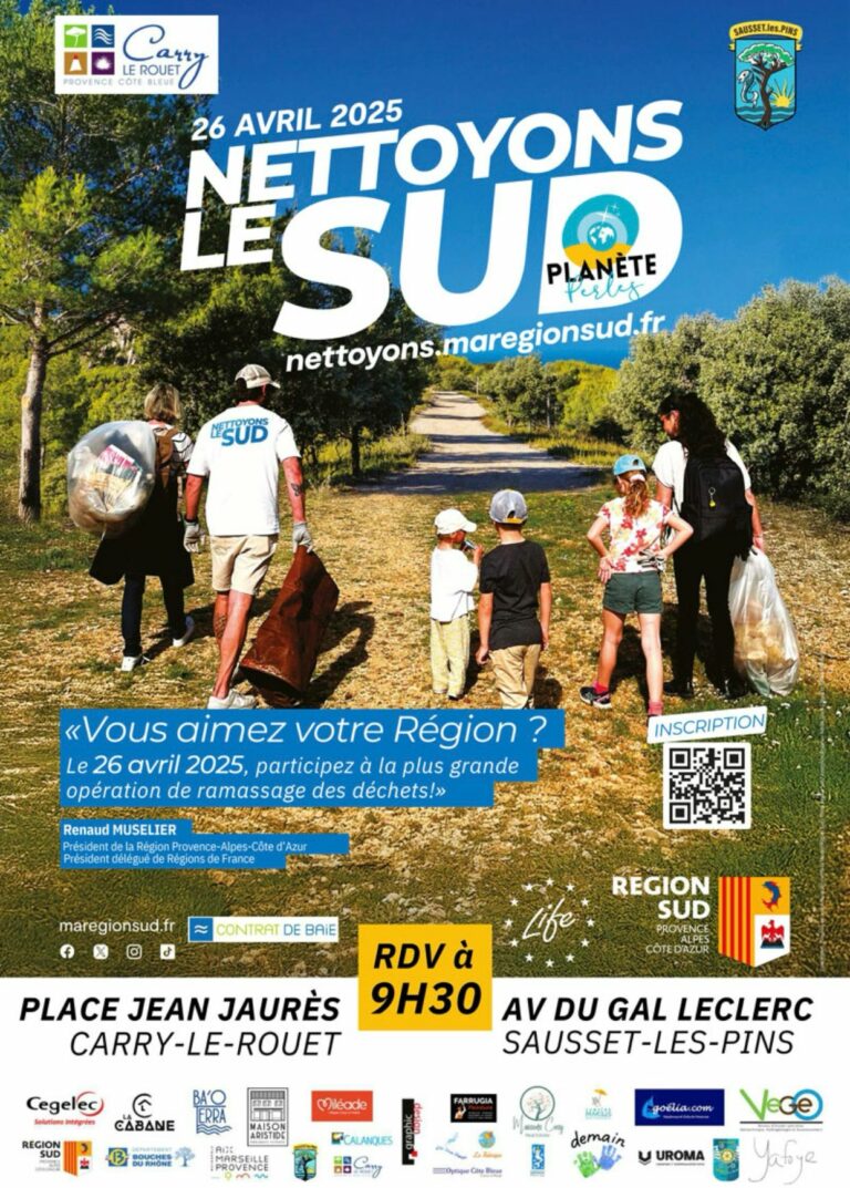 CARRY VILLE PROPRE !