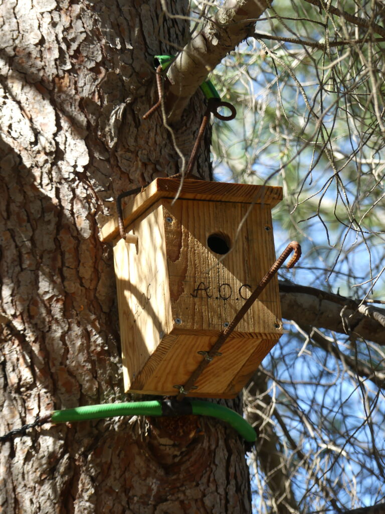 Les brigades du tigre !