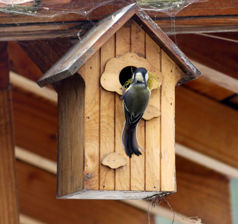 Quel diamètre pour le trou d&rsquo;envol ?