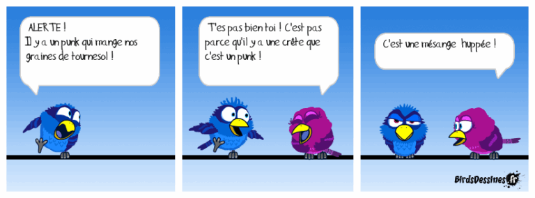 Tchip ! tchip ! tchip !