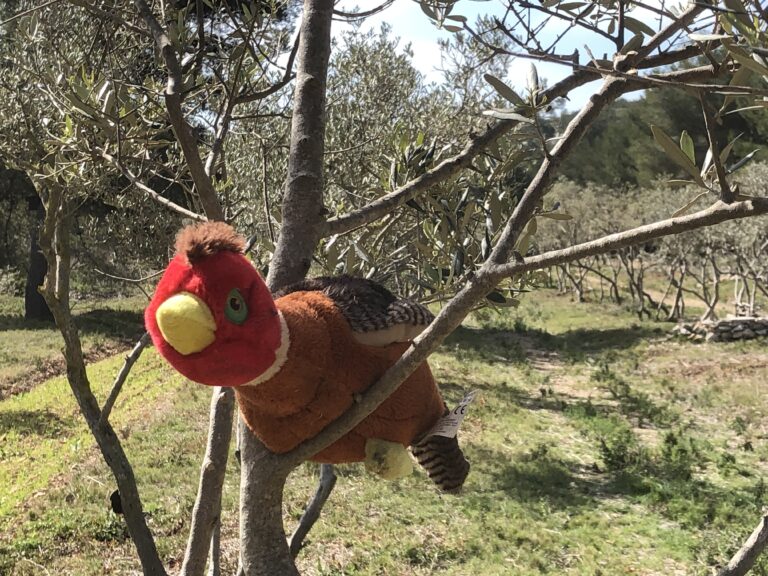 Tchip ! tchip ! tchip ! souriez vous êtes filmés !