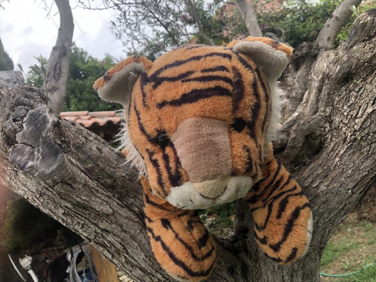 ARTICLE de LA PROVENCE du 03/09/2025