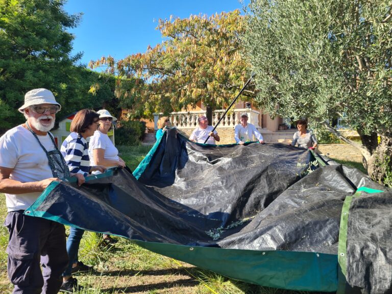 Et la récolte 2025 commença …