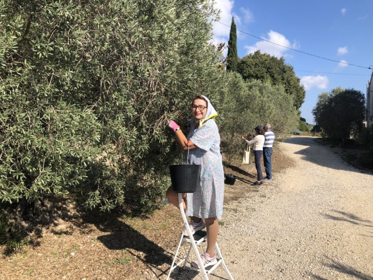 Les VAMPS sont de retour !