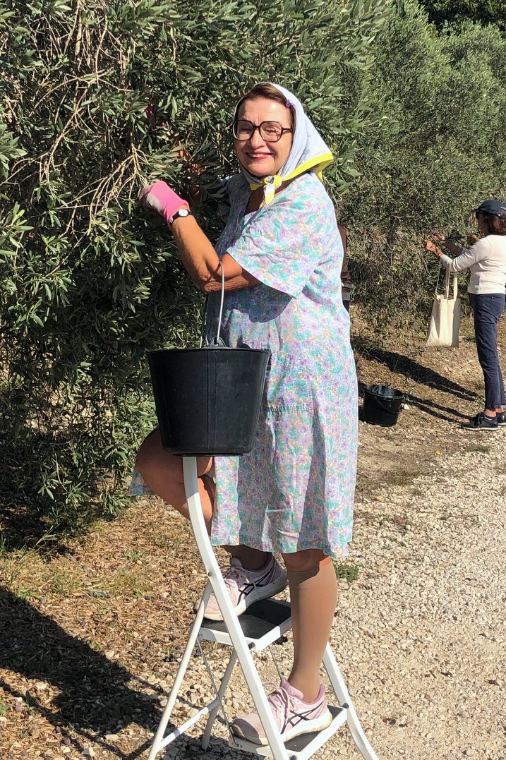 Les VAMPS sont de retour !