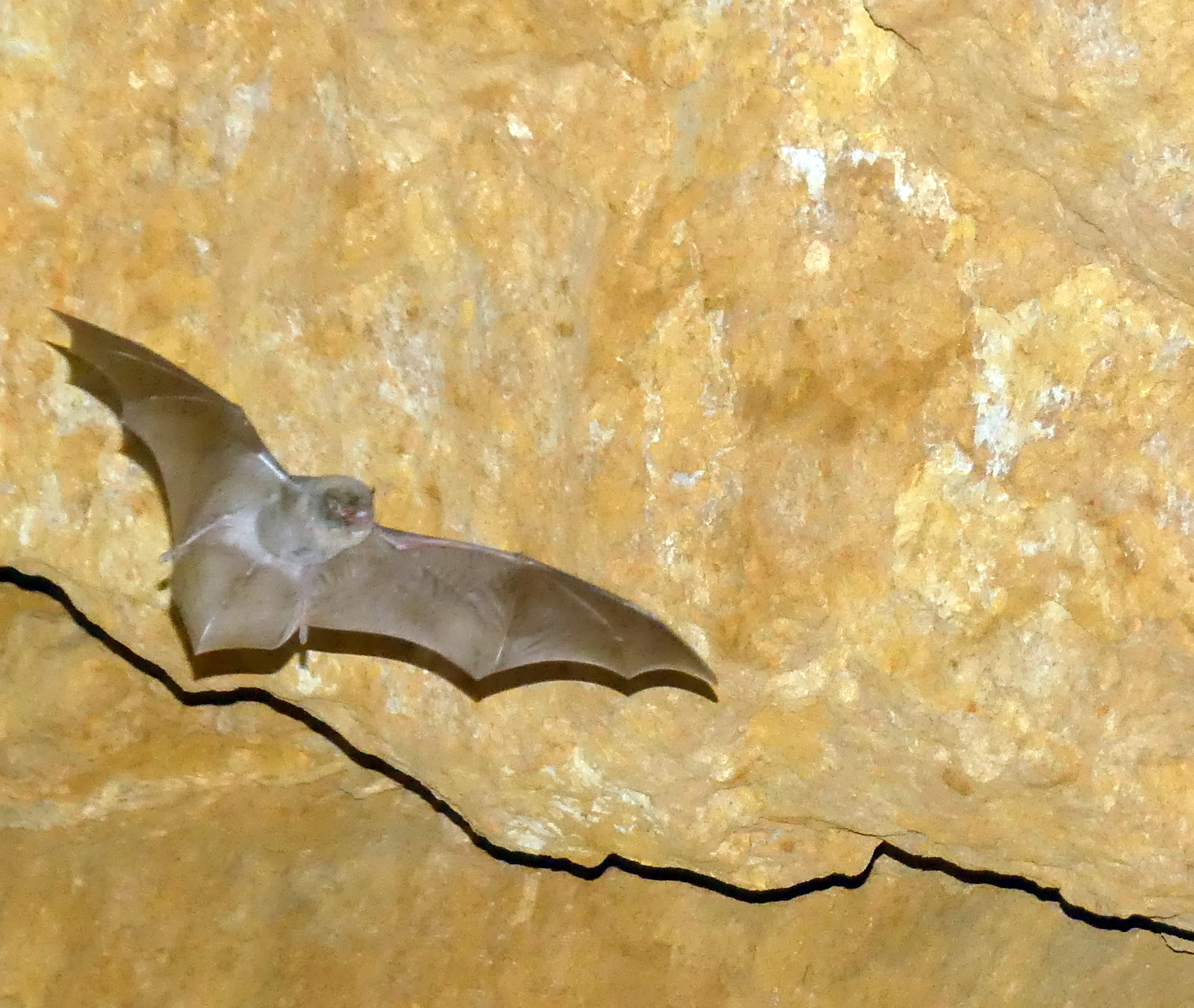 Vive l’insécurité !