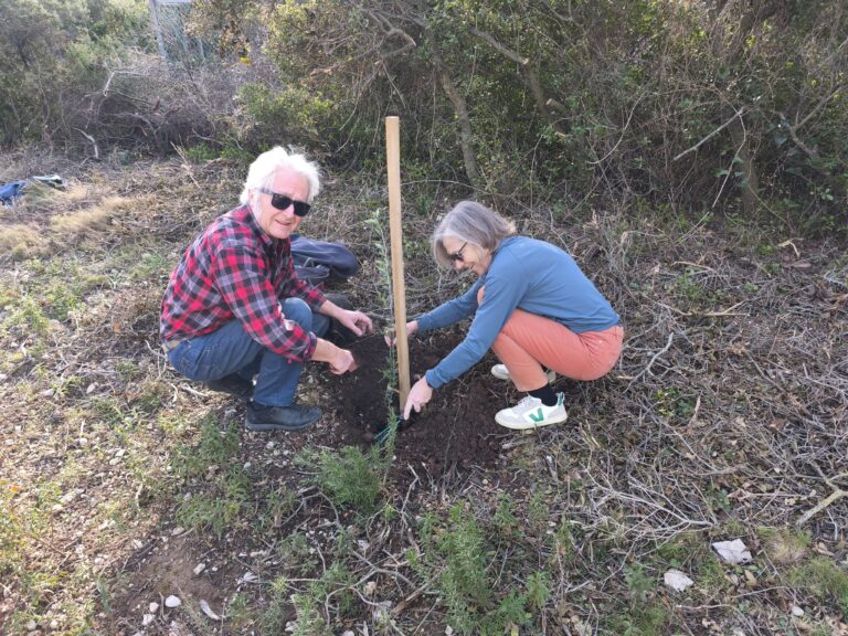 Ecologie … en marche !