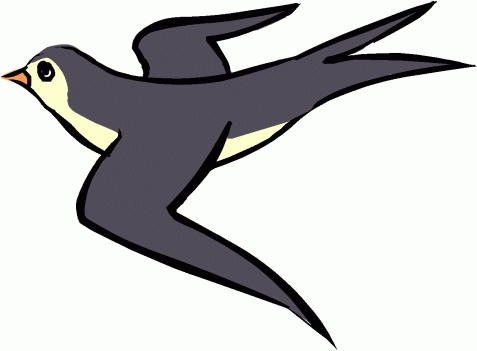 Et les hirondelles ?
