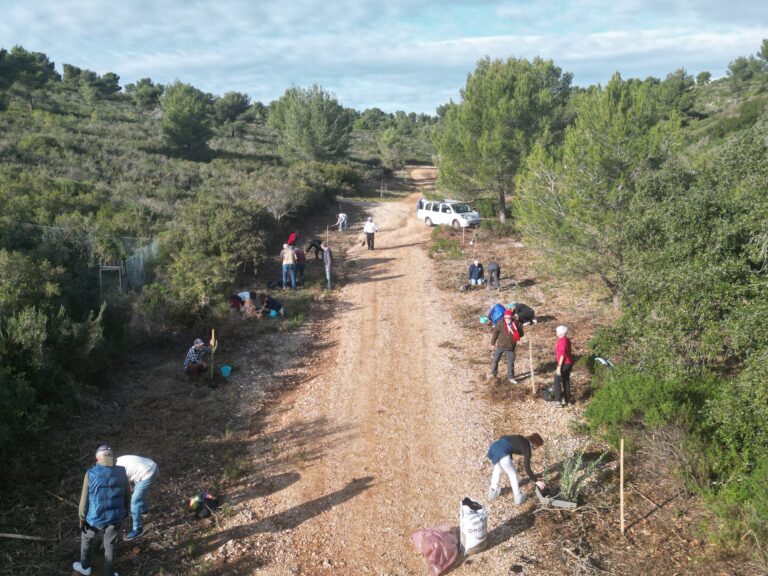 Projets de l&rsquo;AOC pour 2026