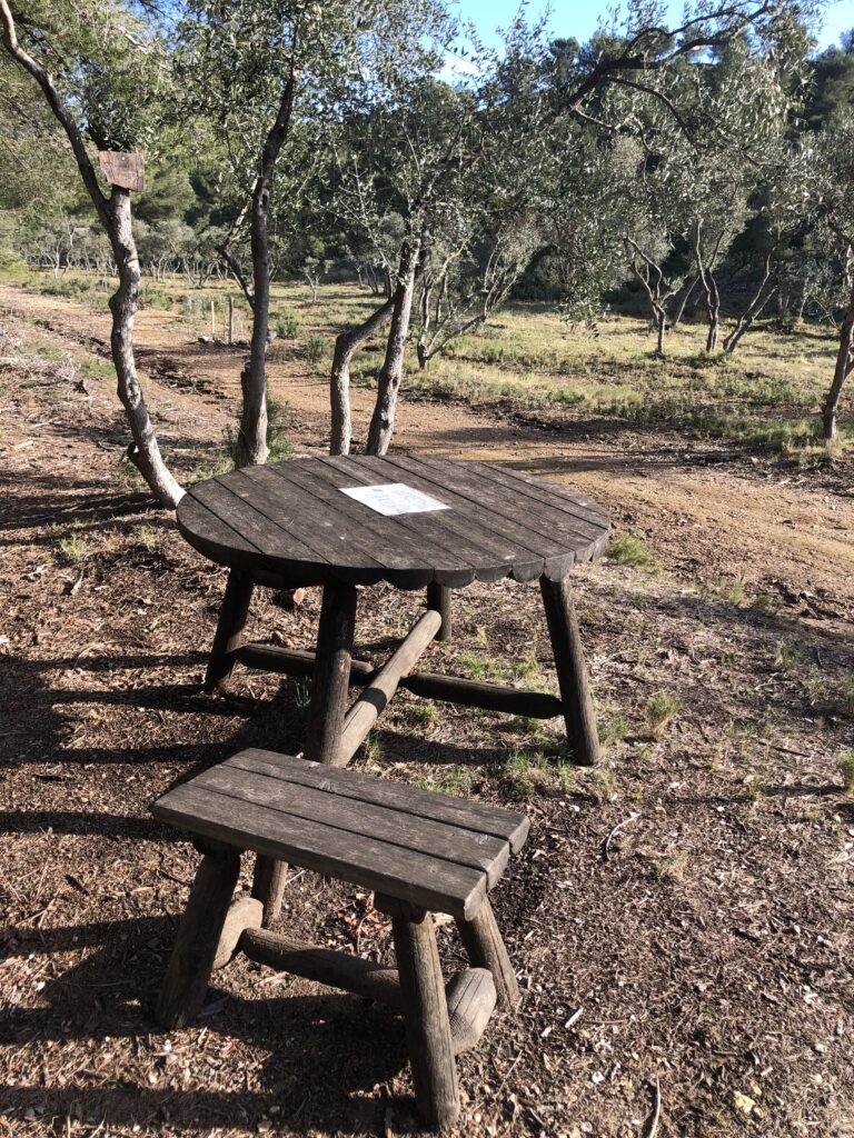 Les RÊVES de la côte bleue