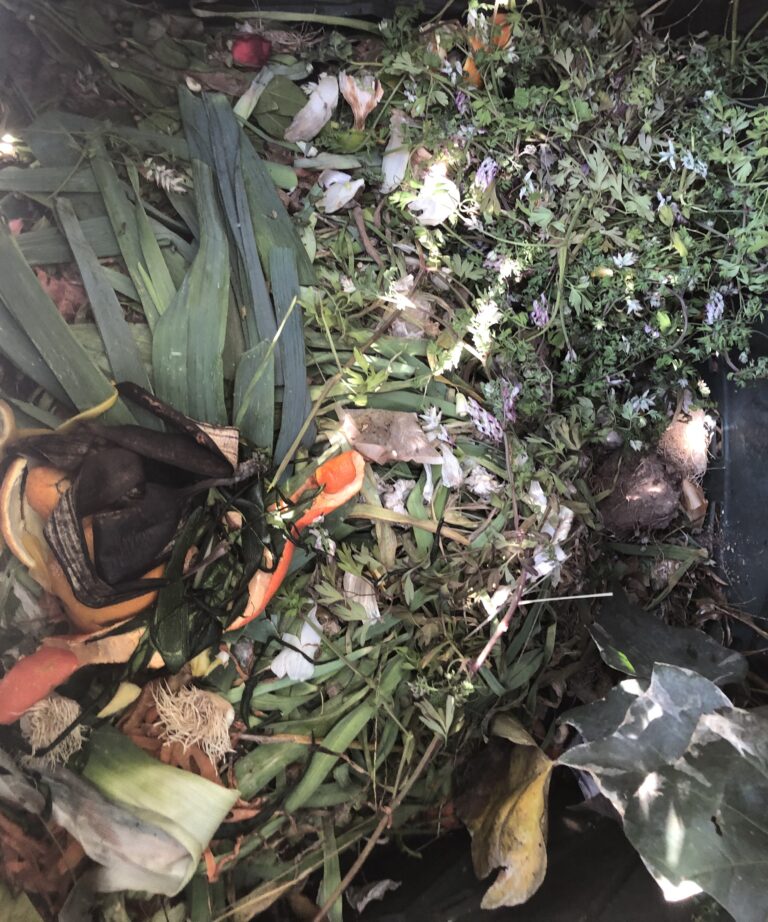 Déchets familiaux compostables