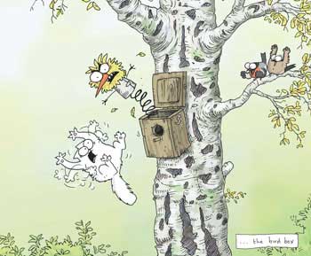 PREDATEURS des PASSEREAUX