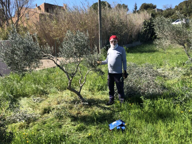 Fin des hostilités ?