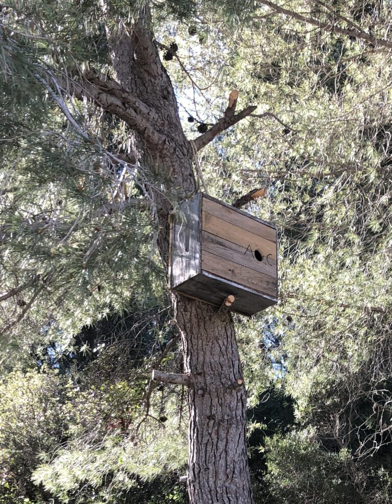 Bienvenue aux migrants !