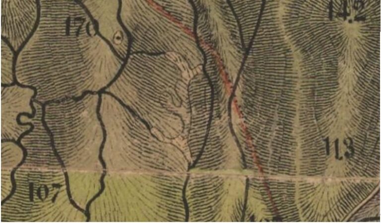 Les oliviers à CARRY au XIXème et XXème siècle