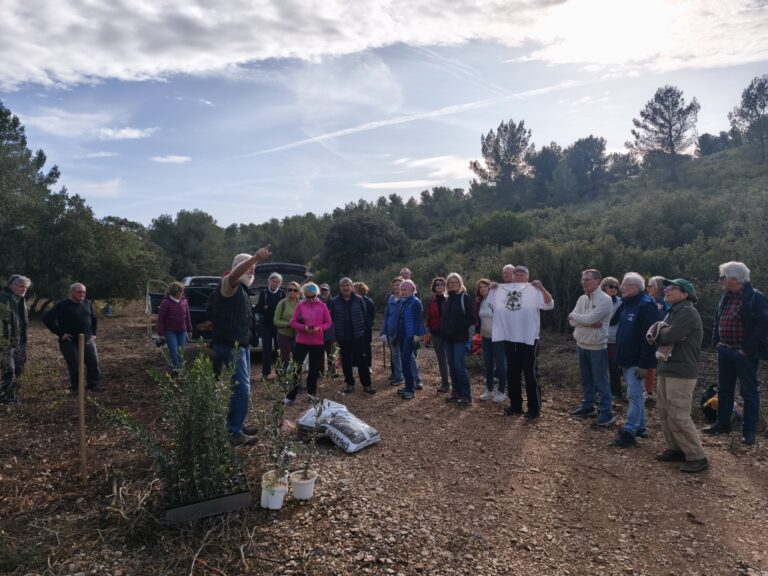 La récolte 2026 se prépare …