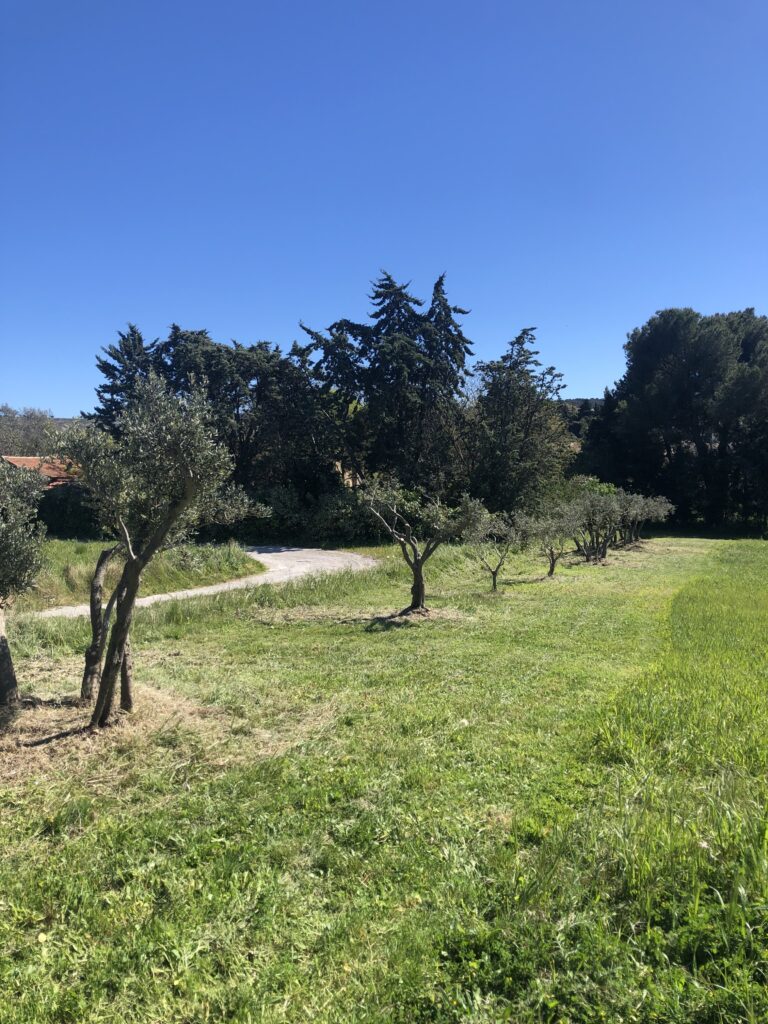 A la porte de St PIERRE