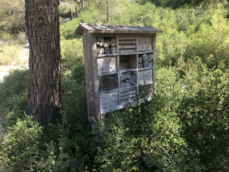 Hôtel à insectes, indispensable ?